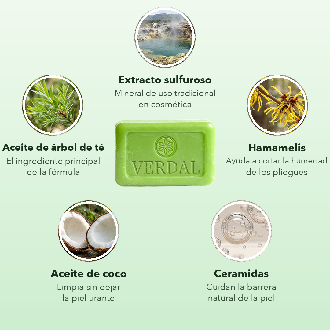 ingredientes
